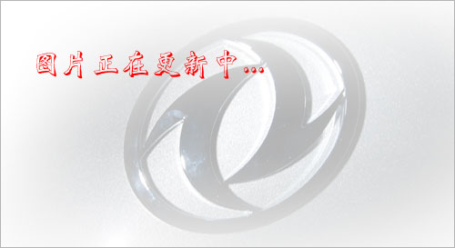 ʮ